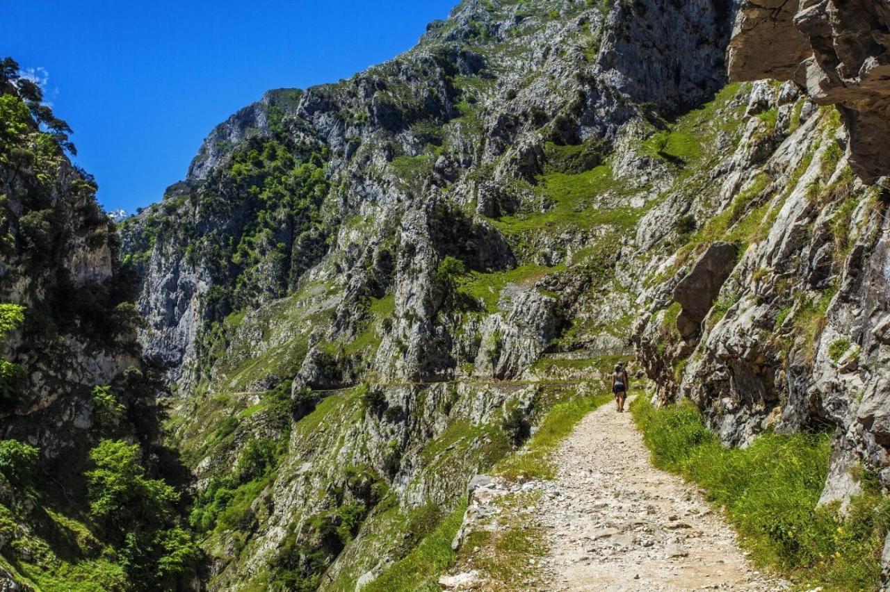 El Mirador De Meron San Vicente De La Barquera Zewnętrze zdjęcie